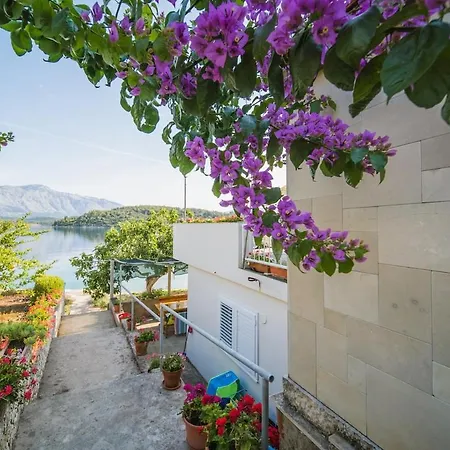Apartment Maricic *