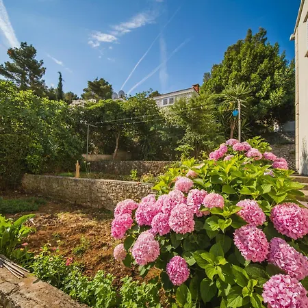 Apartment Maricic *